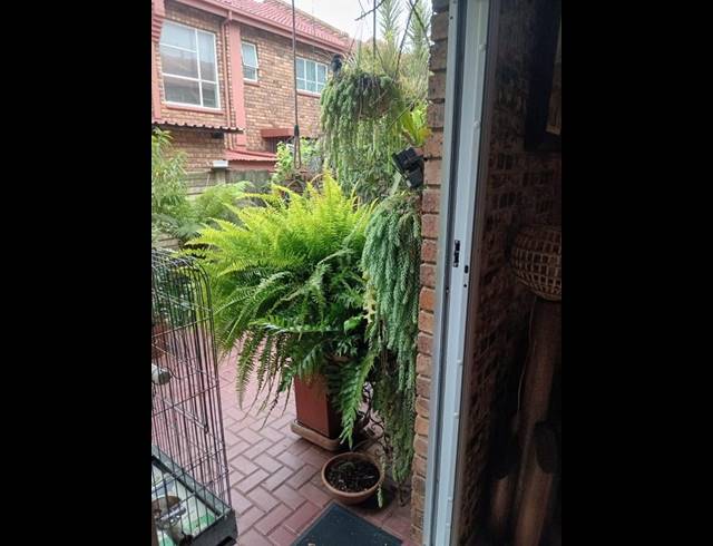 2 BEDROOM APARTMENT FOR SALE IN DORANDIA